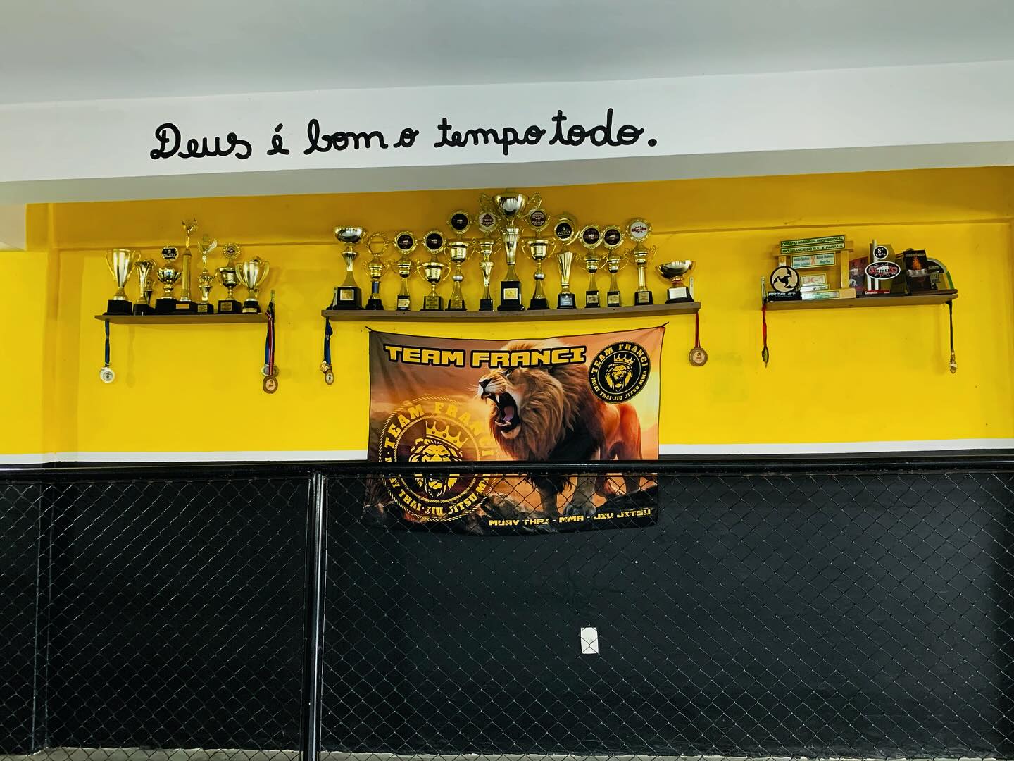 Mestre Alan Bisão Franci